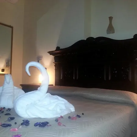 阿维克莫伊罗马酒店